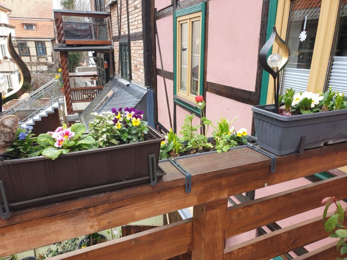 Ferienwohnung Goldstr.7 Quedlinburg Exterior foto